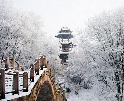 齊齊哈爾十大景點,扎龍自然保護區(qū)是世界最大蘆葦濕地、丹頂鶴故鄉(xiāng)