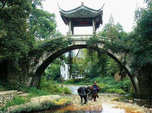武義十大景點(diǎn)排名,郭洞景區(qū)稱江南第一風(fēng)水村,大萊梯田壯美