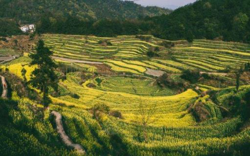 吉安十大景點排行榜,吉州窯景區(qū)風(fēng)景優(yōu)美,青原山景色秀麗