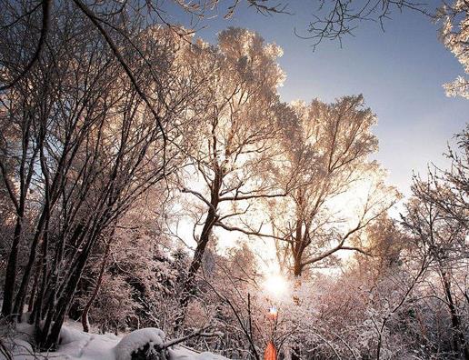 牡丹江十大景點(diǎn)排名,中國雪鄉(xiāng)讓人沉醉,羊草山是戶外愛好者最愛