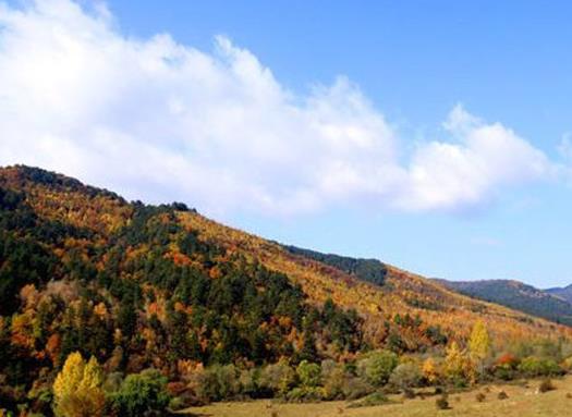 呂梁十大景點(diǎn)排行榜,李家山村如世外桃源,磧口古鎮(zhèn)是晉商發(fā)祥地