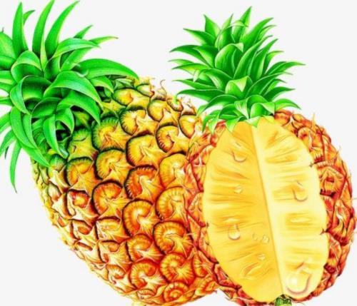 營養(yǎng)最豐富的10種水果排名,蘋果富含維生素C,鱷梨含25種必需營養(yǎng)素