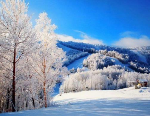 中國(guó)十大滑雪勝地排名,哈爾濱亞布力國(guó)際滑雪場(chǎng)的高山斜坡是亞洲最長(zhǎng)