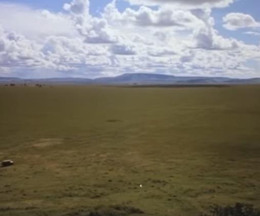 關(guān)于旅行的十部最佳電影,到野外激發(fā)熱情,非洲之外獲奧斯卡獎(jiǎng)