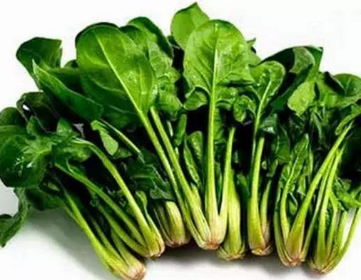 十大補(bǔ)血食物排行榜,當(dāng)歸氣味甘甜,烏骨雞可溫中益氣
