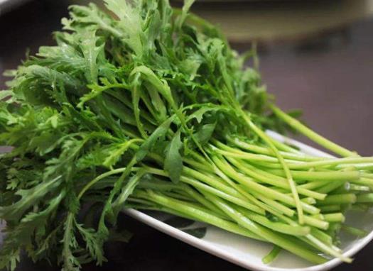 十種適合懶人種植的蔬菜,韭菜很常見,生菜適合盆栽