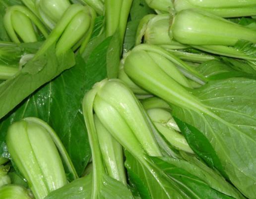 十種適合懶人種植的蔬菜,韭菜很常見,生菜適合盆栽