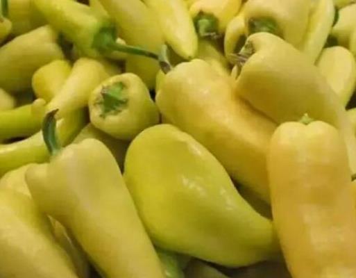 中國十大辣椒辣度排行榜,云南涮涮辣、特立尼達(dá)蝎子辣度很驚人