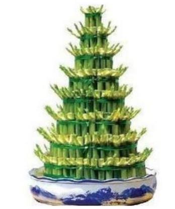 十種招財(cái)又旺宅的植物,發(fā)財(cái)樹(shù)能美化環(huán)境,紅運(yùn)當(dāng)頭代表鴻運(yùn)當(dāng)頭