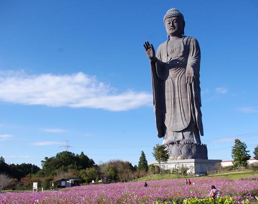 世界十大最高雕像排名,印度統(tǒng)一女神像、中國泉寺大佛吸引游客