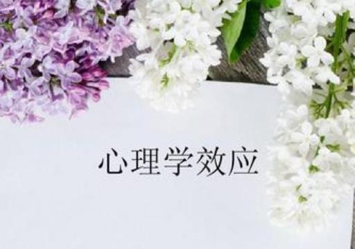十大最合適女生報(bào)考的專業(yè),學(xué)前教育、小語(yǔ)種都是很好的專業(yè)