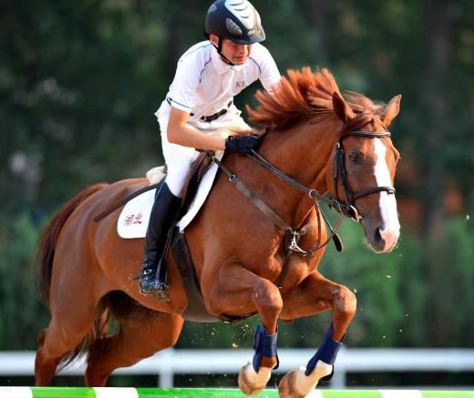 全世界最燒錢的五種運動,賽車、馬術(shù)土豪才玩得起