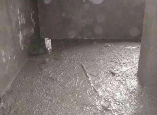 2020年十大知名防水涂料品牌,雨虹防水涂料、滴盾國標防水產(chǎn)品優(yōu)異