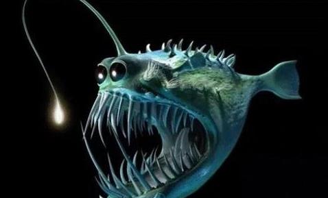 世界十大最丑海洋生物,儒艮、雪茄達(dá)摩鯊長相奇特