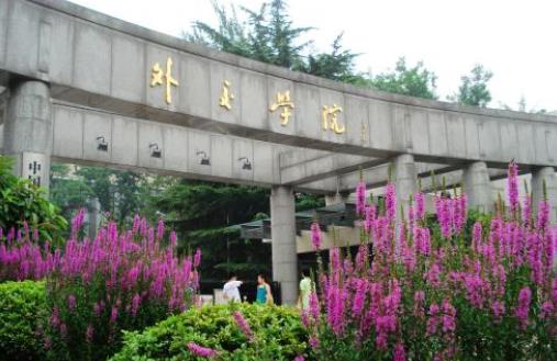 2020中國(guó)高校畢業(yè)生月薪排名,清華大學(xué)、北京大學(xué)名列前茅
