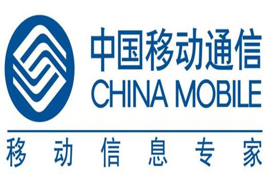 中國五大巨頭公司排名,中國石油化工集團有限公司實力超群