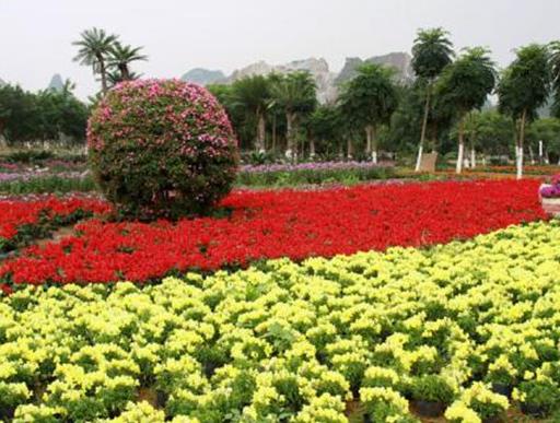 南寧十大最適合情侶去的地方,歐洲風(fēng)情園、大明山風(fēng)景區(qū)很浪漫