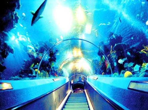 廣東十大適合親子旅游的地方,白云山風景區(qū)、廣州海洋館很好玩