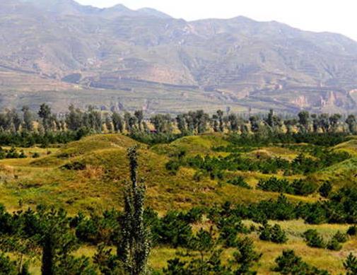 中國(guó)最著名十大陵墓,秦始皇兵馬俑、西夏王陵陵墓文化豐富