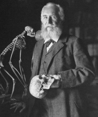 全球十大生物學家排行榜,達爾文是進化論的奠基人、林奈是生物學家
