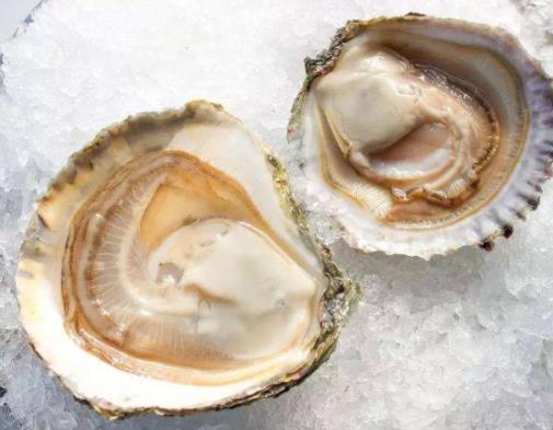 全球最頂級5大海鮮,藍(lán)龍蝦價格昂貴、法國貝隆生蠔肥美鮮嫩
