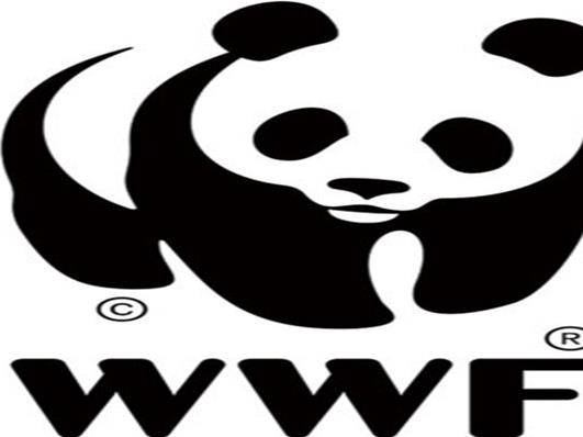 世界十大慈善基金會排行榜,聯(lián)合國環(huán)境規(guī)劃署、全球基金值得信賴