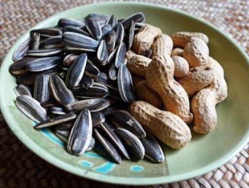 春節(jié)必吃的10種食物,餃子寓意吉祥如意、年糕寓意“年年高”