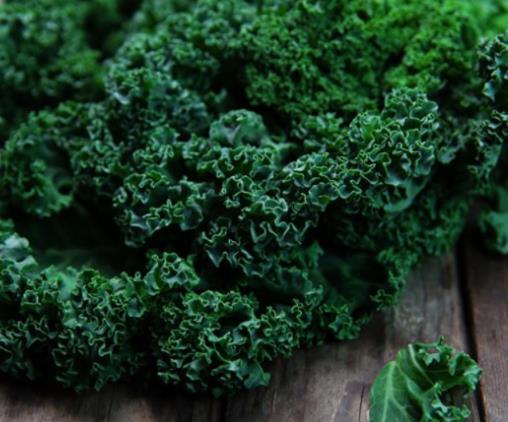 讓心臟更健康的十大食物,橘子能降低血壓,紫甘藍(lán)熱量低