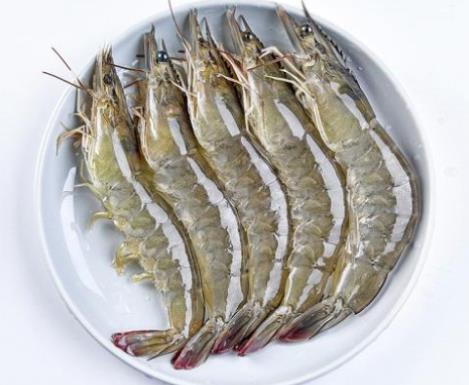 最適合孩子吃的海鮮,龍利魚有助視力健康、白對蝦促進發(fā)育