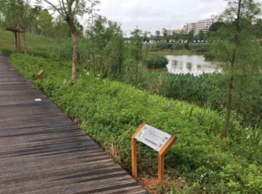 廣州十大公園排行榜,大觀濕地公園環(huán)境好、白云湖可觀看燈光節(jié)