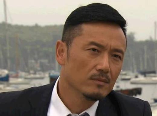TVB最受歡迎的男明星,歐陽震華的法證先鋒很出彩、張智霖知名度高