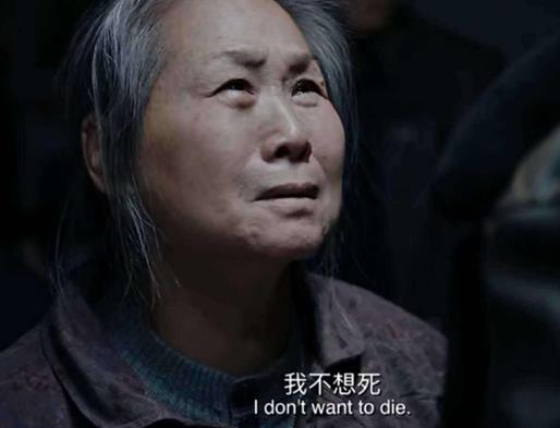 6部令人驚喜的國產電影排名,戰(zhàn)狼系列很好看,流浪地球非常棒