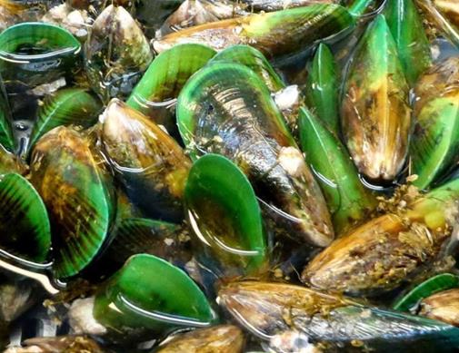 2020年新西蘭國民級美食排名,黑邊鮑魚營養(yǎng)豐富、新西蘭大龍蝦口感好