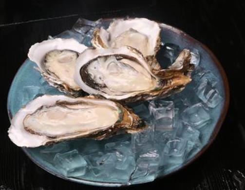 2020年新西蘭國民級美食排名,黑邊鮑魚營養(yǎng)豐富、新西蘭大龍蝦口感好