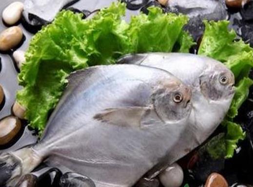 最適合孩子吃的八種魚排名,龍利魚口感肥美鮮嫩,銀魚對(duì)腸胃很友好