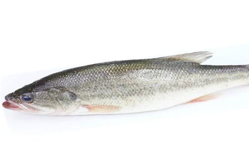 最適合孩子吃的八種魚排名,龍利魚口感肥美鮮嫩,銀魚對(duì)腸胃很友好
