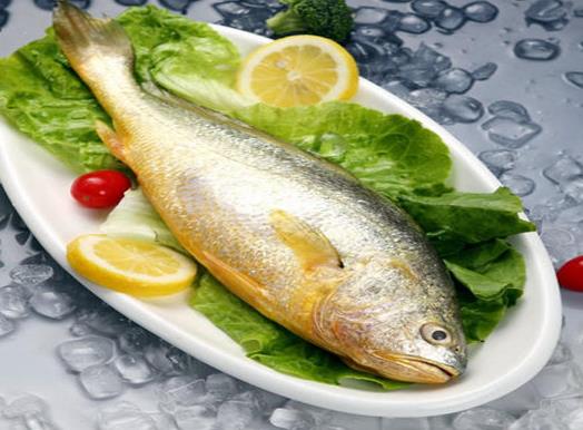 最適合孩子吃的八種魚排名,龍利魚口感肥美鮮嫩,銀魚對(duì)腸胃很友好