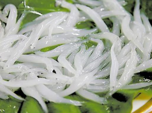 最適合孩子吃的八種魚排名,龍利魚口感肥美鮮嫩,銀魚對(duì)腸胃很友好