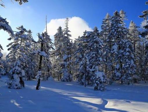 國內(nèi)冬天適合度假的八個地方,哈爾濱是冰雪之城,北京歷史悠久有魅力