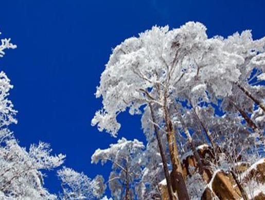國內(nèi)冬天適合度假的八個地方,哈爾濱是冰雪之城,北京歷史悠久有魅力