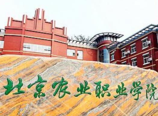 北京十大職業(yè)教育機(jī)構(gòu),北京電子科技職業(yè)學(xué)院、北京財(cái)貿(mào)職業(yè)學(xué)院很專業(yè)