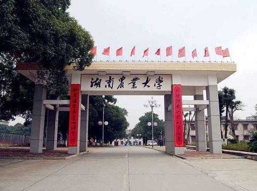 湖南十大名校大學(xué)排名,中南大學(xué)是西醫(yī)高等學(xué)校、湖南大學(xué)也很有名