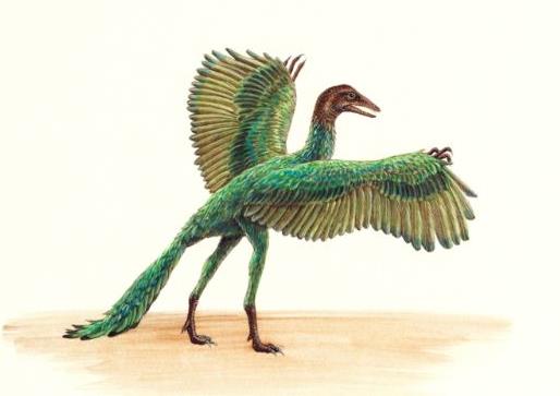世界十大最著名恐龍排名,中華鳥龍全身顏色最多、滑齒龍生活在海洋里