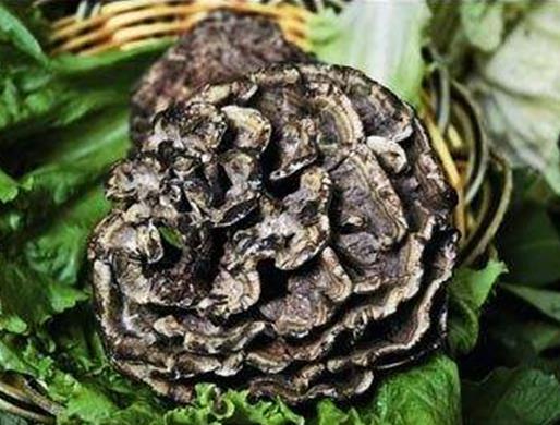 云南十大最貴野生菌排名,干巴菌濃郁而奇特,羊肚菌非常稀有