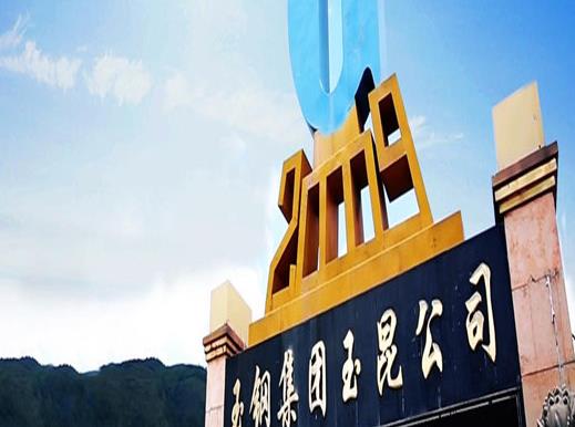 2020年云南省制造業(yè)民營(yíng)企業(yè)排名,華澤集團(tuán)有限公司營(yíng)業(yè)收入很可觀(guān)