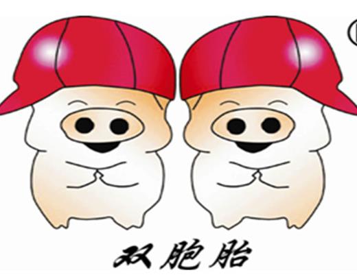2020江西民營(yíng)企業(yè)500強(qiáng)名單,正邦集團(tuán)有限公司、晶科能源有限公司很不錯(cuò)