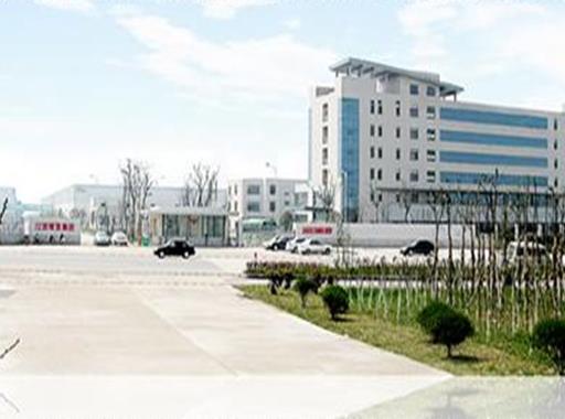 2020上海市民營(yíng)企業(yè)500強(qiáng)排名,東方希望集團(tuán)有限公司營(yíng)業(yè)收入高