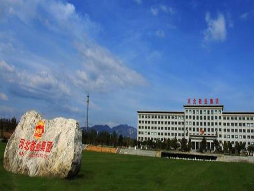 2020河北民營(yíng)企業(yè)500強(qiáng)名單,新奧集團(tuán)股份有限公司員工數(shù)量超萬(wàn)人