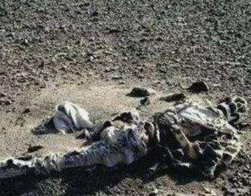 中國歷史十大謎團(tuán)排行榜,三星堆之謎、楊貴妃生死之謎至今都是未解之謎
