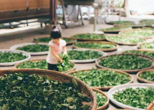 清遠十大最好玩的景點,少林禪院傳承中華文化、鳳凰臺建筑精美